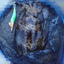 エギング釣行 その39